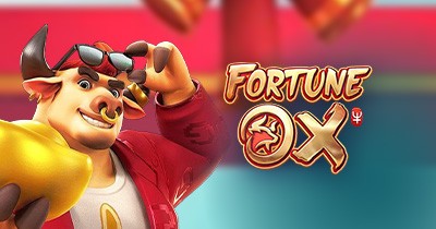 Login mega