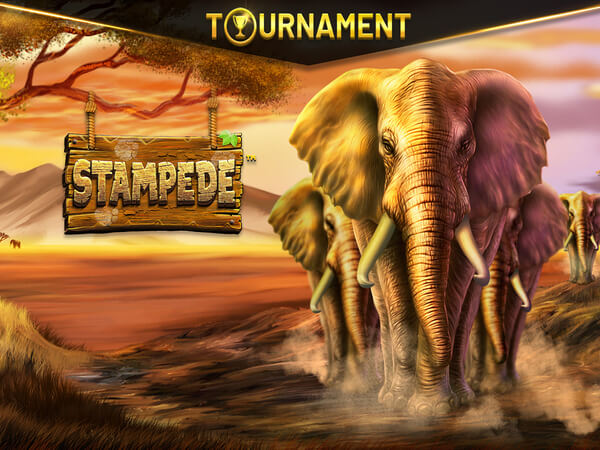Futemax jogo ao vivo